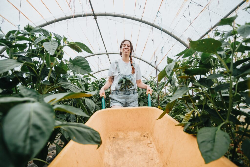 happy-young-woman-farmer-with-wheelbarrow-working-in-the-greenhouse-collecting-vegetables-working-i.jpg